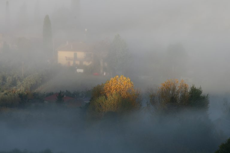 Mist in the valley – (photo)